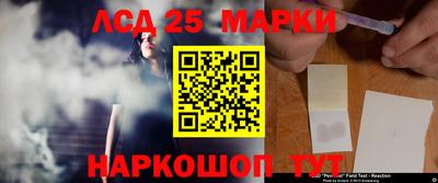 мдпв Гусев