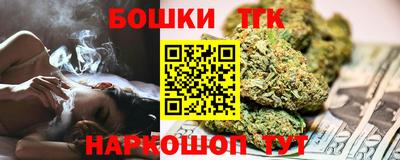 мдпв Гусев