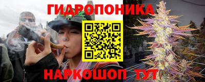 мдпв Гусев