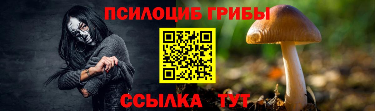 Псилоцибиновые грибы Psilocybe  Вход с VPN  Нефтекумск  Псилоцибиновые грибы GOLDEN TEACHER 