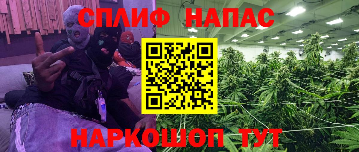 Шишки марихуана конопля Нефтекумск